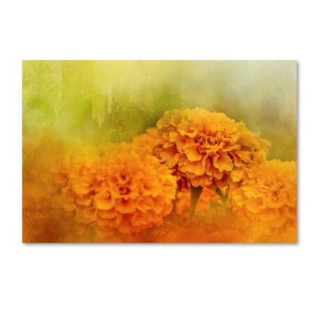 Trademark Fine Art Jai Johnson 'Fresh Autumn Flowers' Canvas Art, 22x32 ALI15033-C2232GG